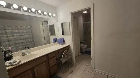 53 Odyssey Drive Tinley Park IL 60477