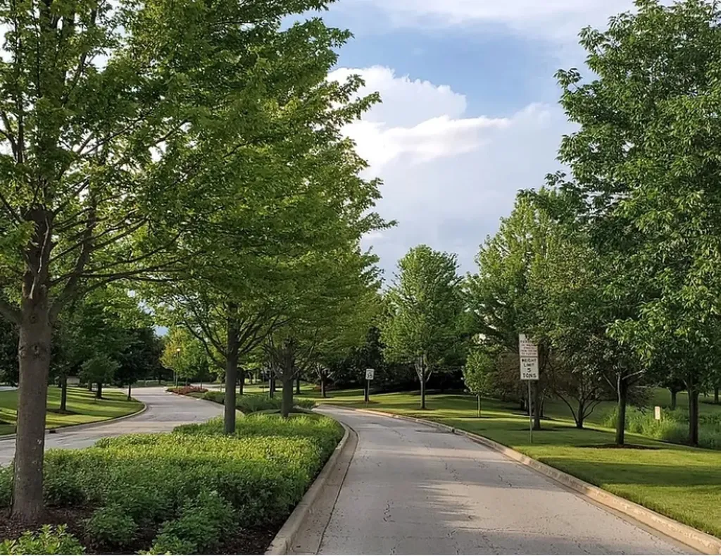 26643 Lindengate Circle Plainfield IL 60585