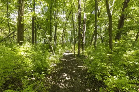 7479 Grove Road Oswego IL 60543