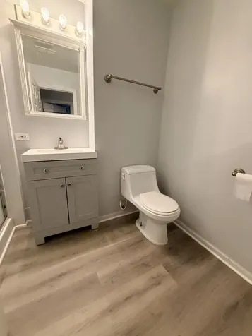 2828 South Wallace Street Chicago IL 60616