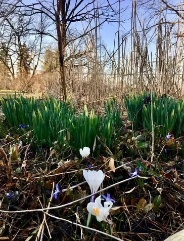 12N085 Wildmere Drive Elgin IL 60123