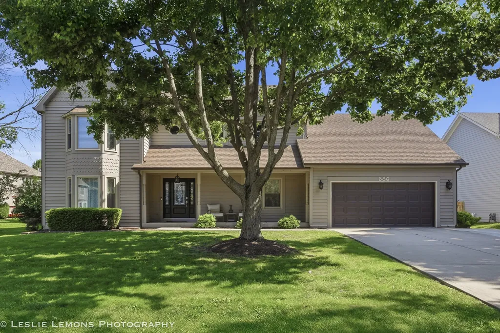 386 Hoyer Court Naperville IL 60565