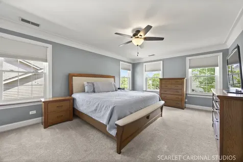3766 Matisse Drive St. Charles IL 60175