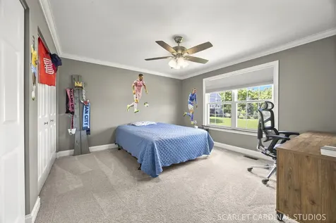 3766 Matisse Drive St. Charles IL 60175