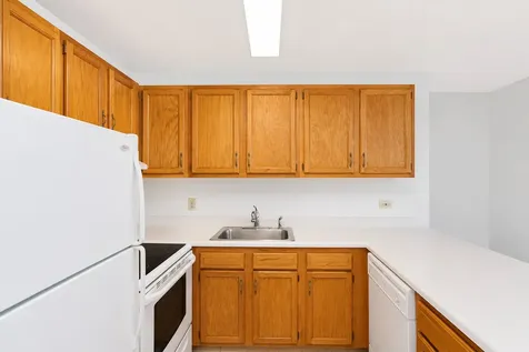 1811 Four Lakes Avenue Lisle IL 60532