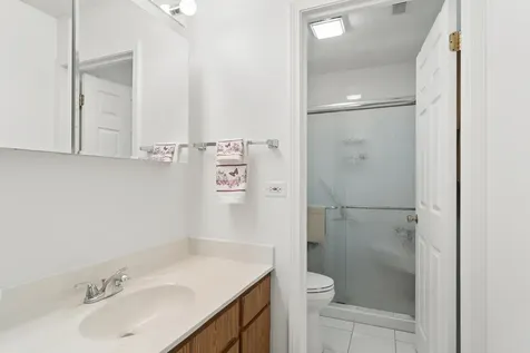 763 White Pine Road Buffalo Grove IL 60089