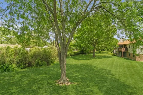 763 White Pine Road Buffalo Grove IL 60089