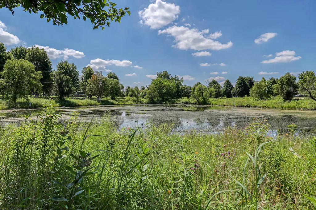 18106 Waterside Circle Orland Park IL 60467