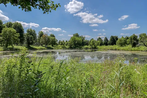 18106 Waterside Circle Orland Park IL 60467
