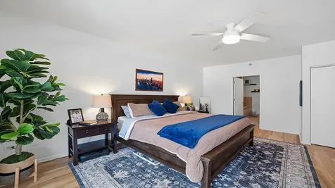 21 West Chestnut Street Chicago IL 60611