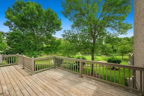 1537 West Rue James Place Palatine IL 60067