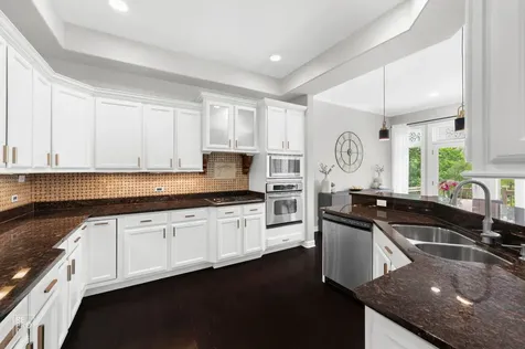 1537 West Rue James Place Palatine IL 60067