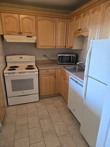 70 West Burton Place Chicago IL 60610