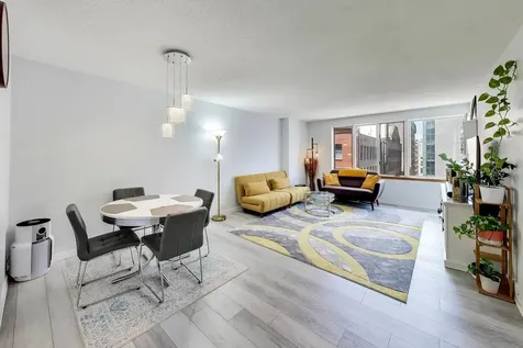 801 South Plymouth Court Chicago IL 60605