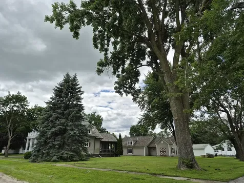 304 North Central Avenue Ladd IL 61329