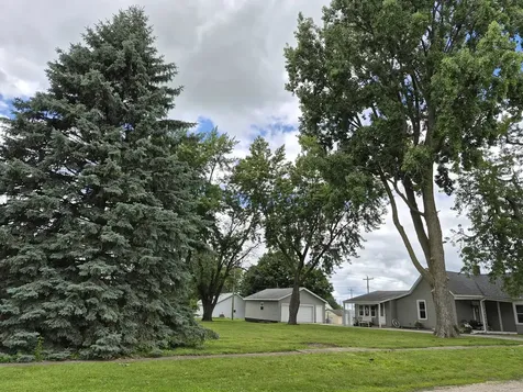 304 North Central Avenue Ladd IL 61329