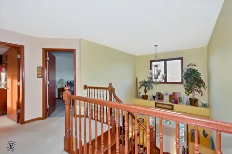 14736 South Carlton Lane Homer Glen IL 60491