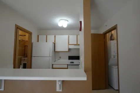 1548 West Sand Bar Court Round Lake Beach IL 60073
