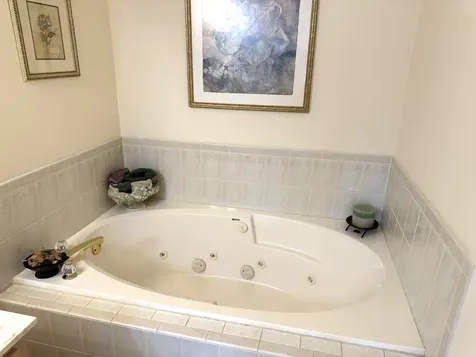 8821 Bluebird Drive Tinley Park IL 60487