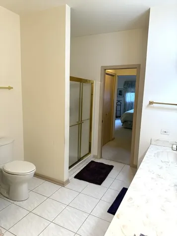 8821 Bluebird Drive Tinley Park IL 60487