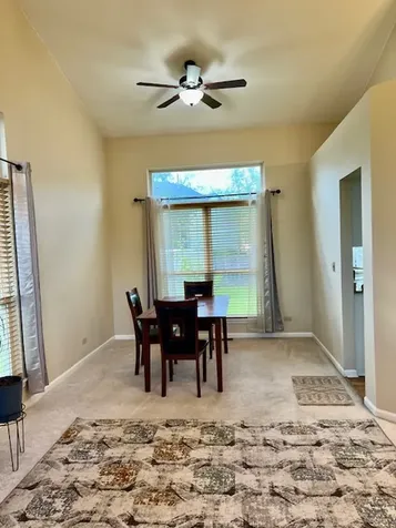1149 Starwood Pass Lake In The Hills IL 60156