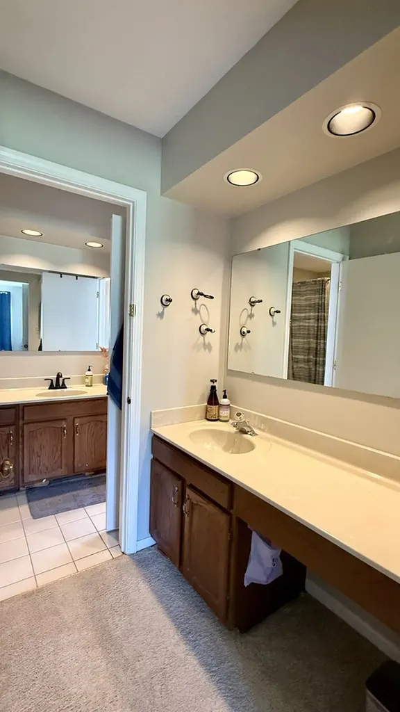 151 Pier Court Naperville IL 60565