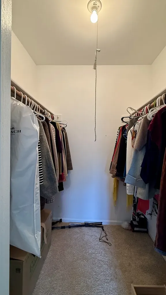 151 Pier Court Naperville IL 60565