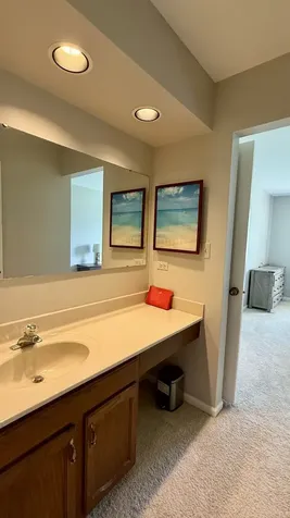151 Pier Court Naperville IL 60565
