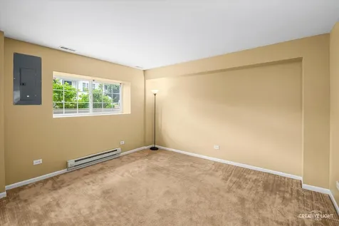 24617 Patriot Square Drive S Plainfield IL 60544