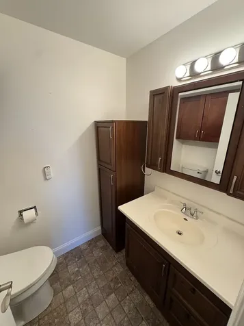 1375 Rebecca Drive Hoffman Estates IL 60169