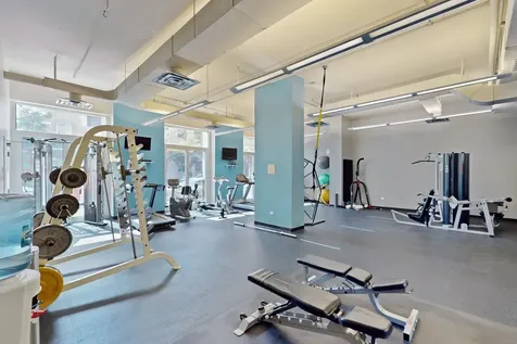1305 South Michigan Avenue Chicago IL 60605
