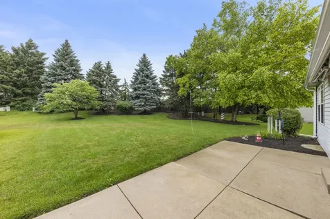 413 Carriage Court Oswego IL 60543