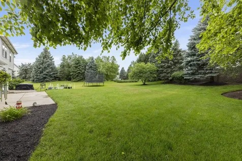 413 Carriage Court Oswego IL 60543