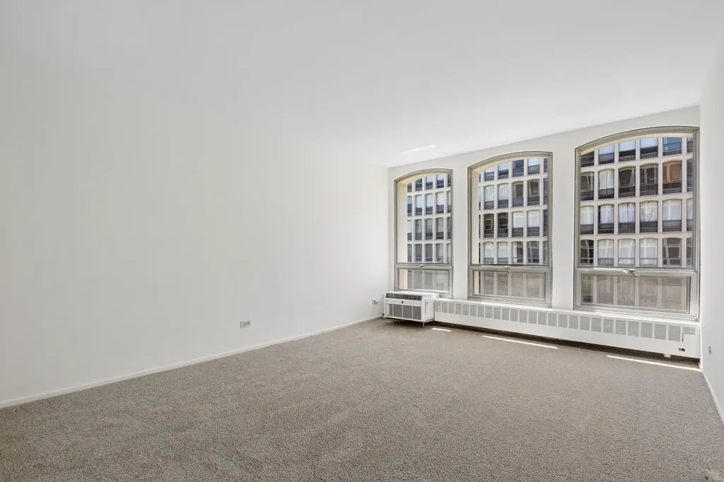 1451 East 55th Street Chicago IL 60615