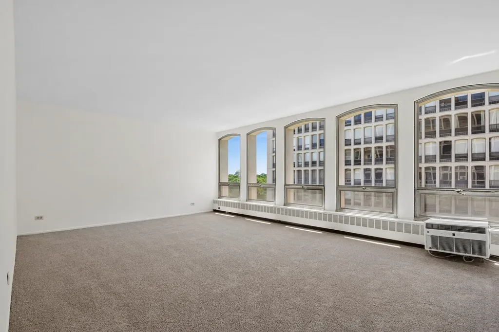 1451 East 55th Street Chicago IL 60615