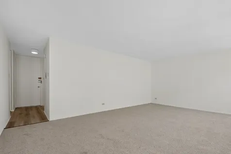 1451 East 55th Street Chicago IL 60615