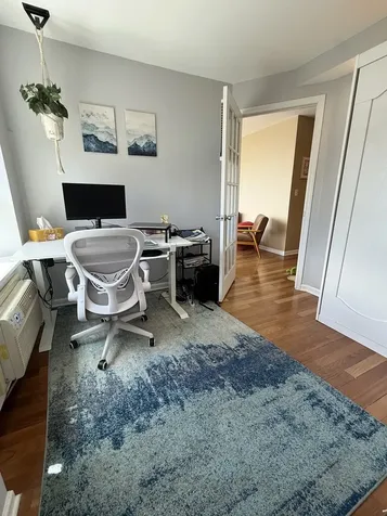 1355 North Sandburg Terrace Chicago IL 60610