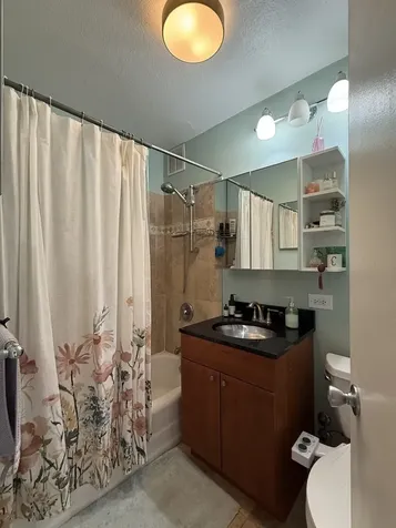 1355 North Sandburg Terrace Chicago IL 60610