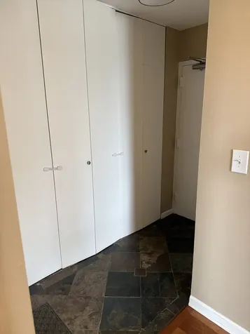 1355 North Sandburg Terrace Chicago IL 60610