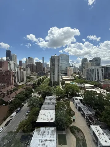 1355 North Sandburg Terrace Chicago IL 60610