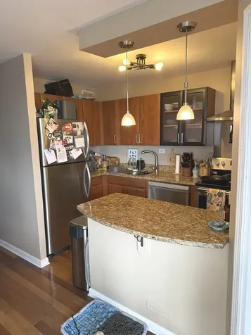 1355 North Sandburg Terrace Chicago IL 60610