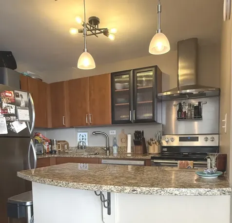 1355 North Sandburg Terrace Chicago IL 60610