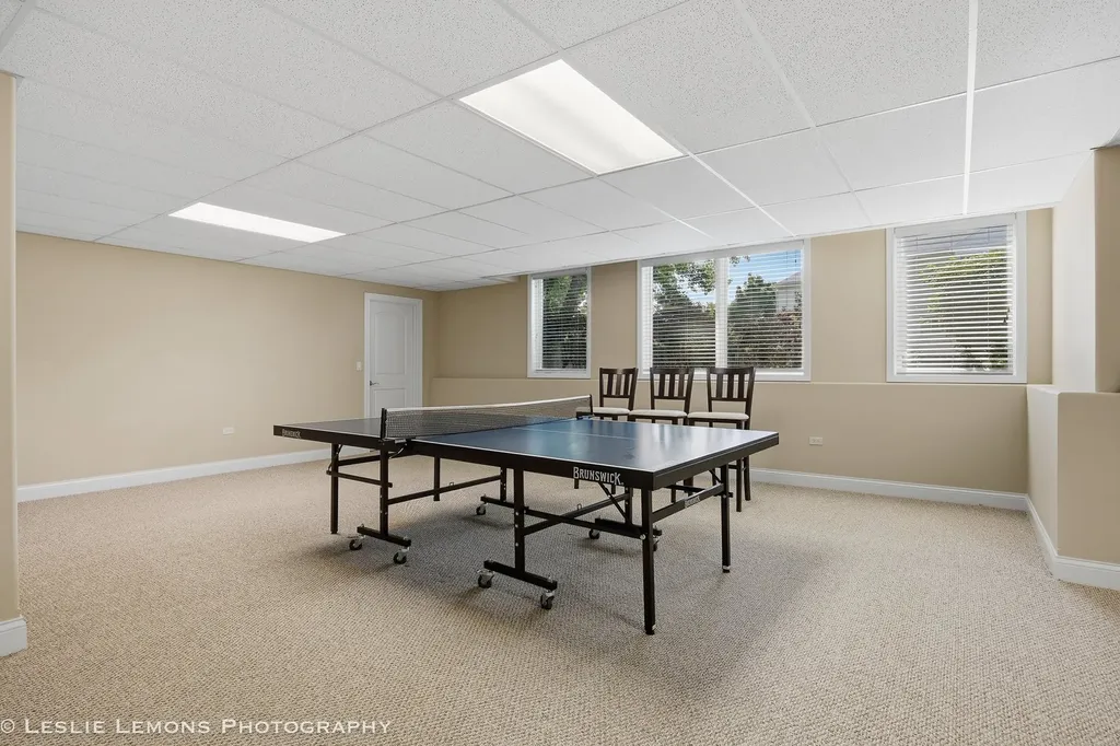 1411 Hatchwood Court Naperville IL 60565