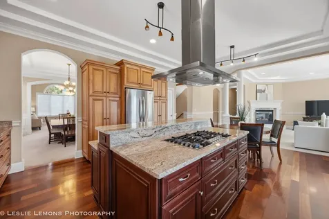 1411 Hatchwood Court Naperville IL 60565