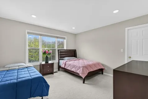 484 West Haleys Hill Court Palatine IL 60074