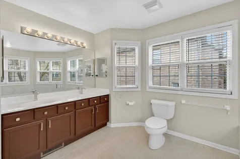 484 West Haleys Hill Court Palatine IL 60074