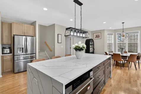 484 West Haleys Hill Court Palatine IL 60074