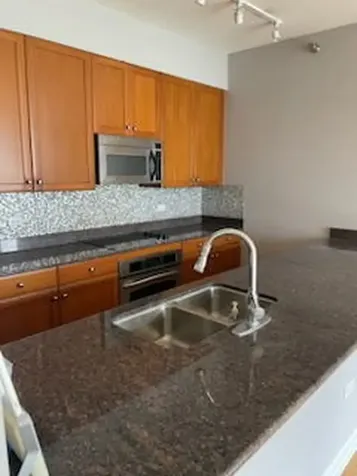 1335 South Prairie Avenue Chicago IL 60605