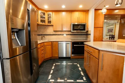925 Spring Hill Drive Northbrook IL 60062