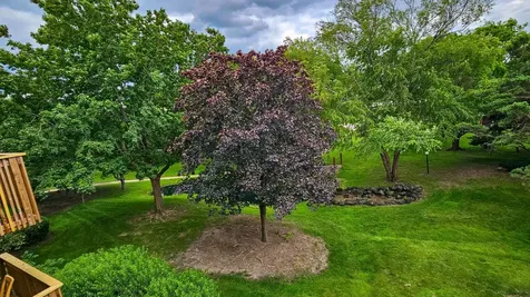 925 Spring Hill Drive Northbrook IL 60062